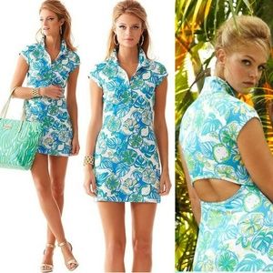 Lilly Pulitzer Rayna Polo dress Sweet and Sour